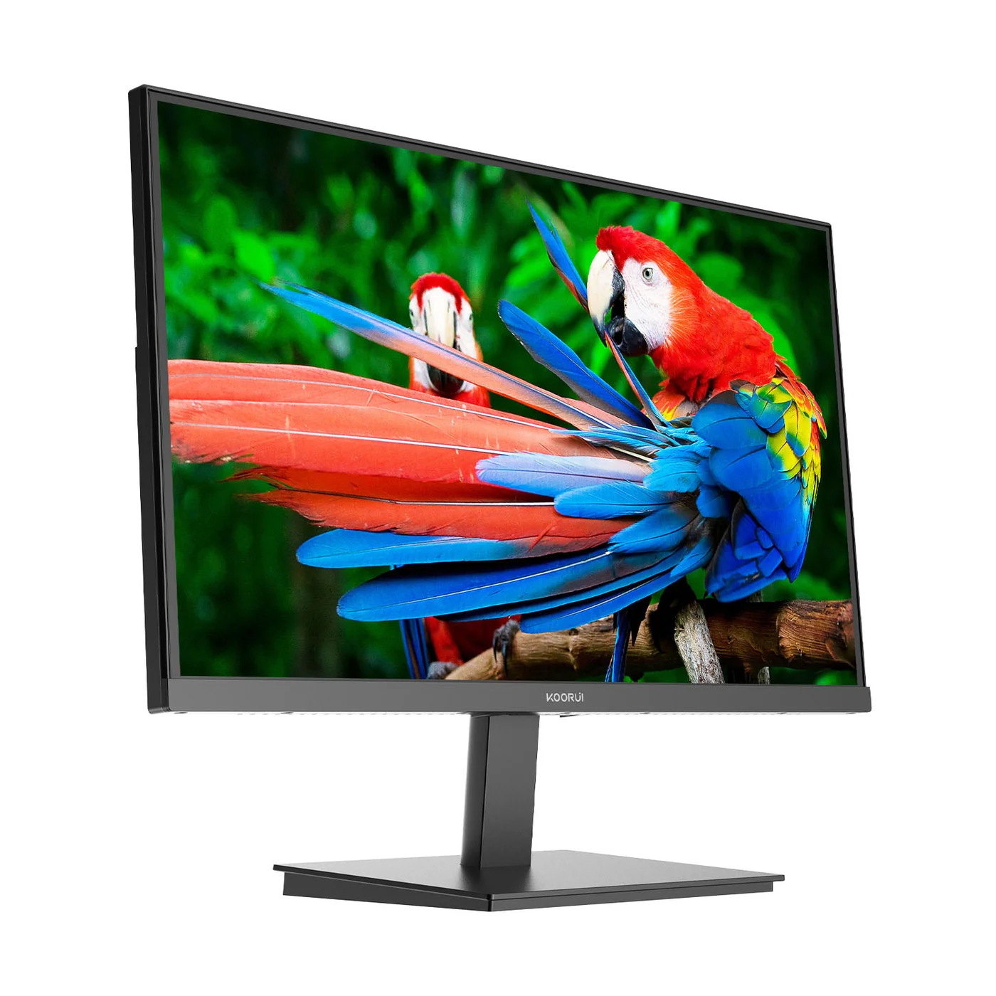 KOORUI E2411H 24-inch IPS monitor with slim black stand for desktop setups